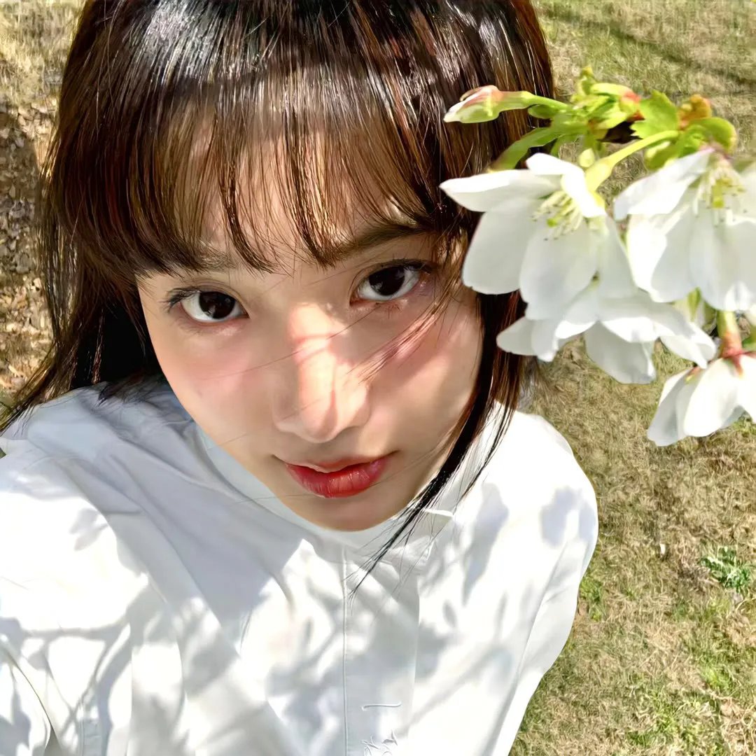 汪汪忠臣藏