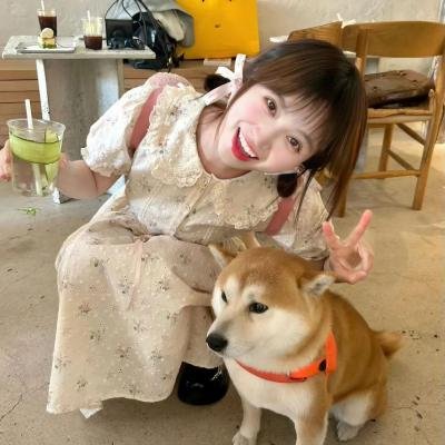 小虎还乡