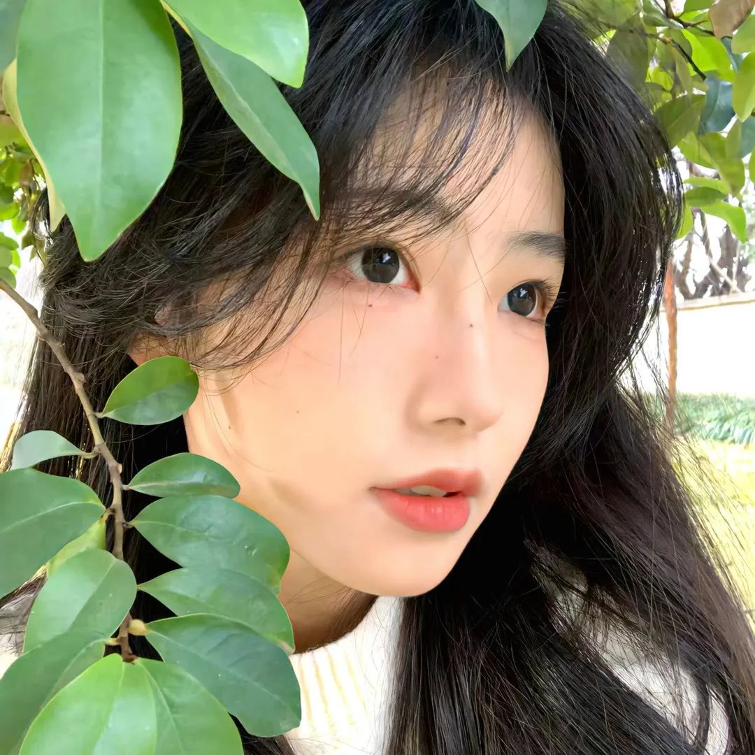 三只狼